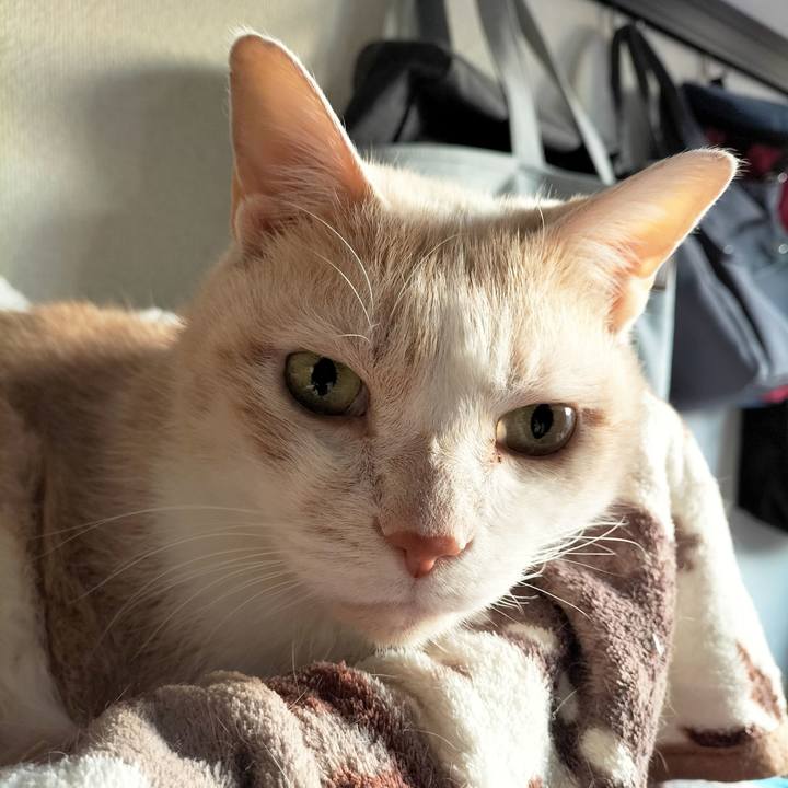 21385ff3 a3c5 477f b417 bfd2813e392d 1675207556456