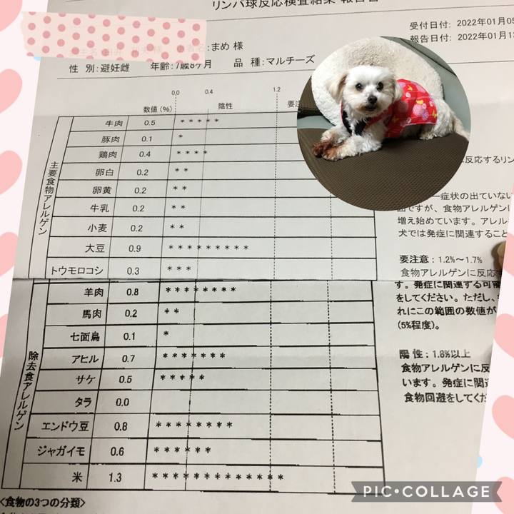 213875bb 0dbe 4925 873f f95892efdd1a 1643107992838