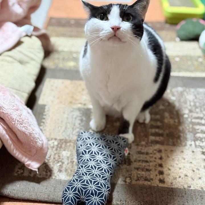 213895f2 9081 47d1 b700 c903f0bca291 1765935350856