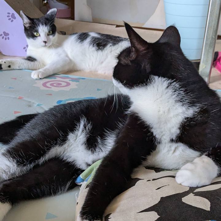 21389c0f 16af 4a22 8e44 cfbfed6f7e56 1755708637857