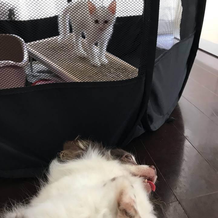 2138a3dc 9fa6 462f 8572 64a6c09fd875 1564576250819