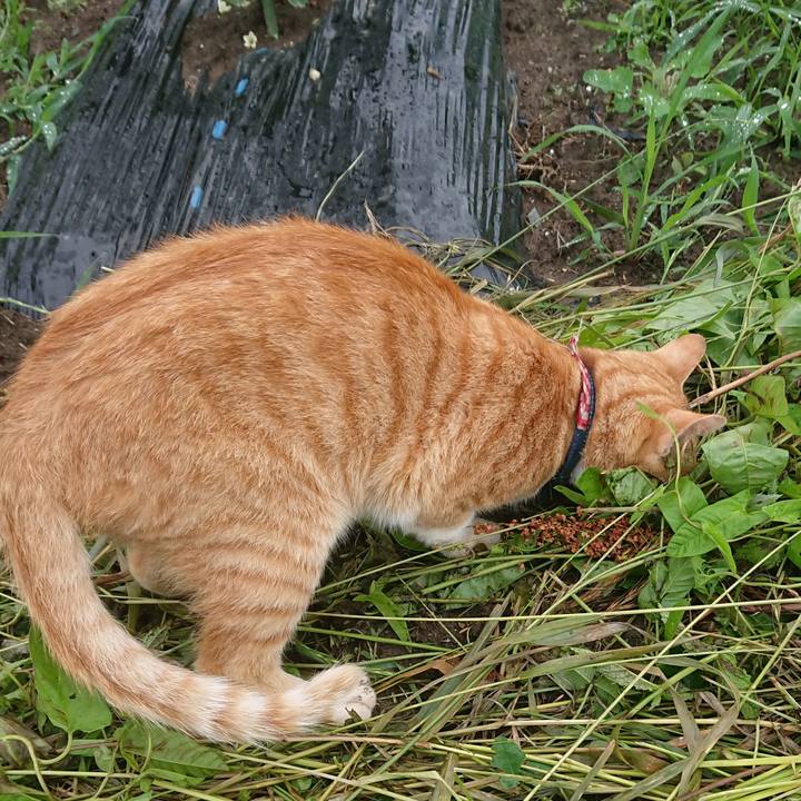 2138aa17 cb88 4371 9e82 ede291e3422d 1561927320634