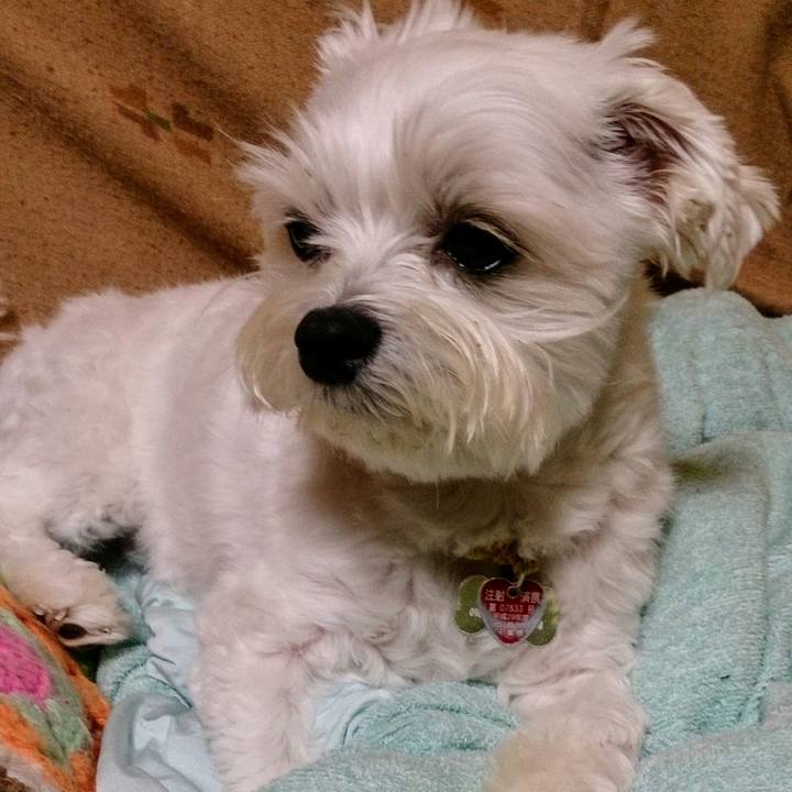 2138da6a 3ec4 4034 9c49 80375f945afc 1508940181796