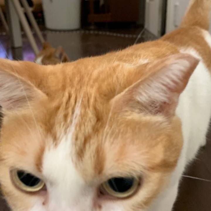 2138eb00 ea75 4ddc beb4 2758e9b9e2f8 1569166884074