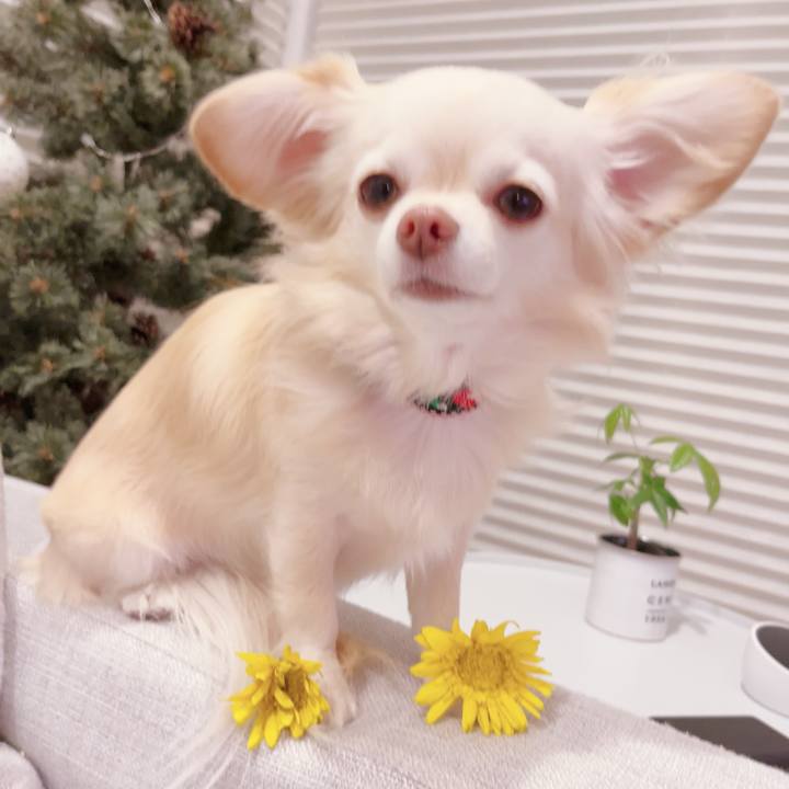 21390f36 046e 410a 9702 ee0251d35d6a 1702031715415