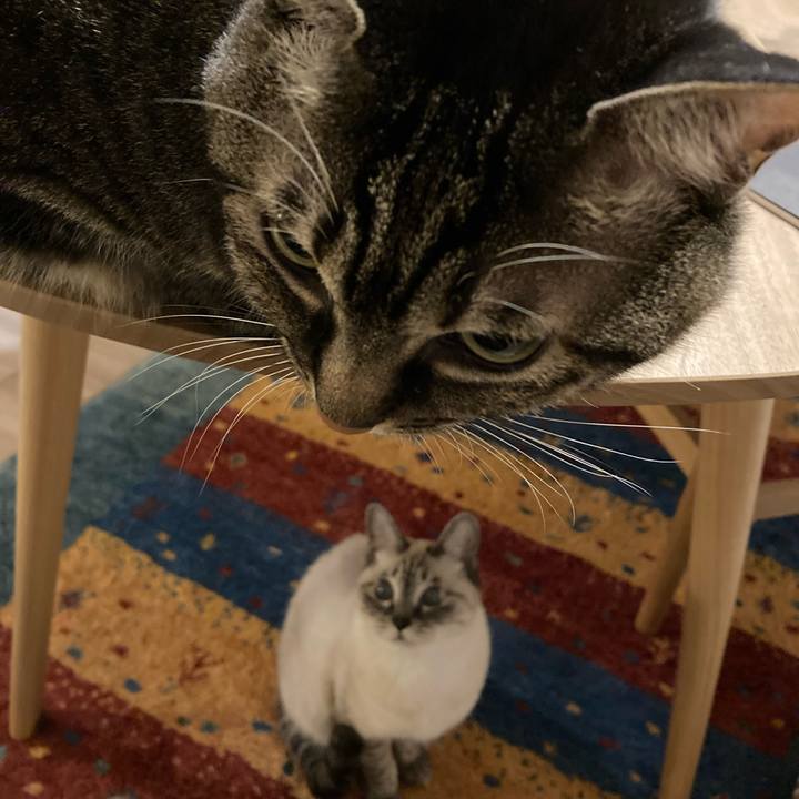 21392ad5 1423 48f5 bbb0 9c23f3085f38 1666684467872