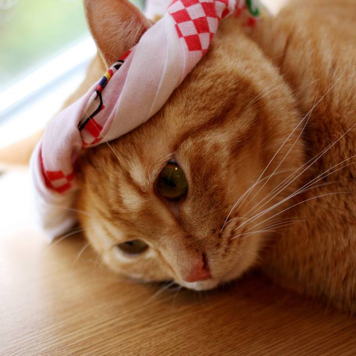 2139484a 9c2a 49ba bdef a7e6fe45dc17 1720512703378