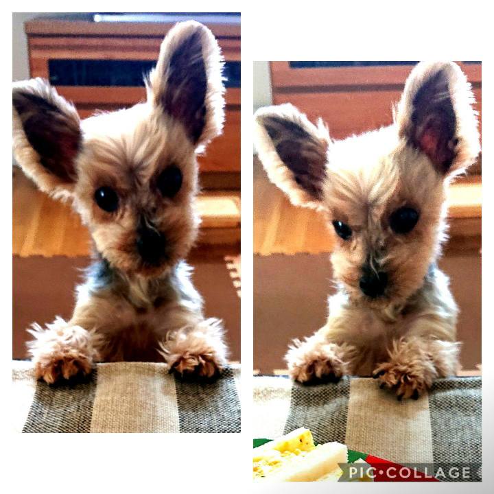 21395d14 415c 4a89 a5be bfab69b3bfeb 1587012997092