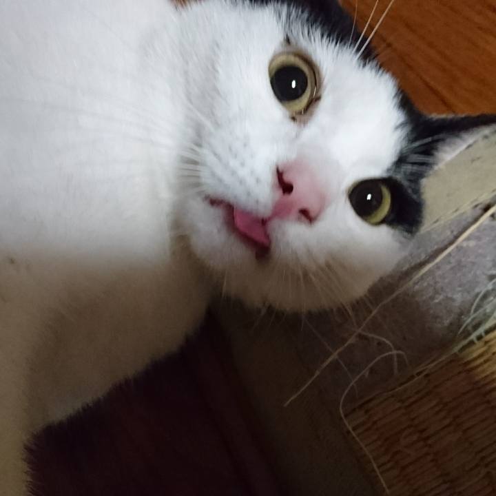 21397996 4484 43ee 84ab 27300142a5c9 1520166427882