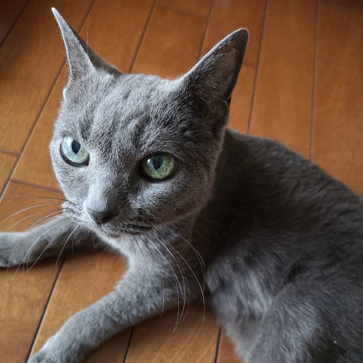 2139c65e c44f 46cf 99ce 55b6d5006af8 1631858121854