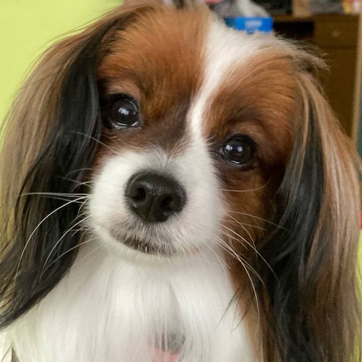 2139c6f8 5f16 4b89 a82c b45f6874cc00 1637280193730