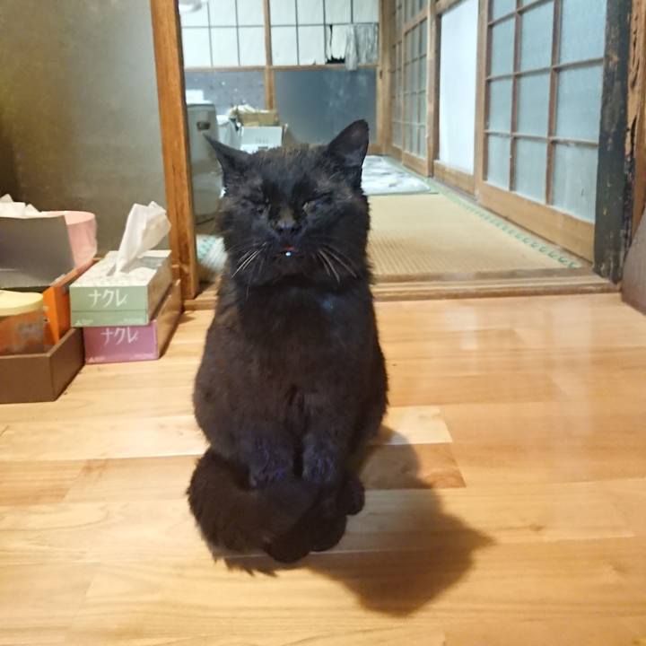 2139cb97 fd2e 49d2 b1be f1885537d3ba 1621254081311