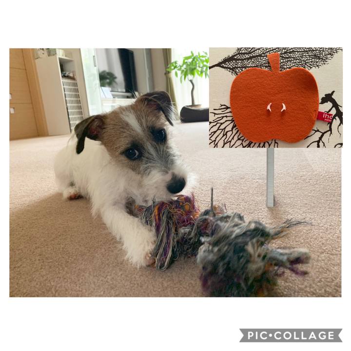 2139d5bf 0237 4991 8050 fc1d12899033 1566184306448