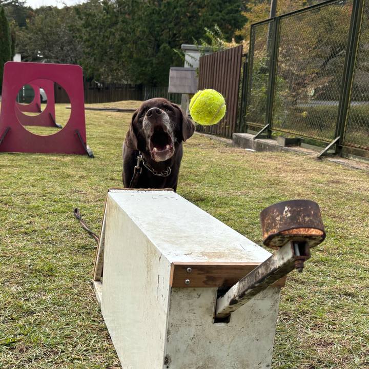 2139f7d0 d133 4e65 8362 ba06fc70dc45 1762082576369