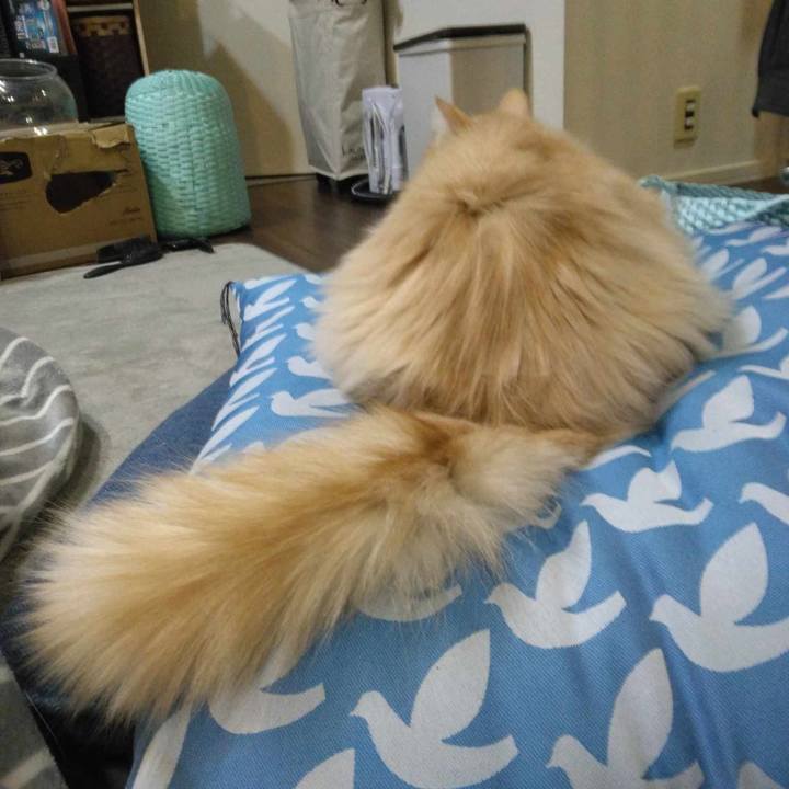 213a2b1d 63c3 4440 8747 40582faaa1d4 1710331901334