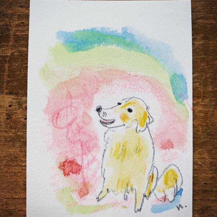 213a3ed1 f270 4c41 b811 2e48adcd892d 1606788394784