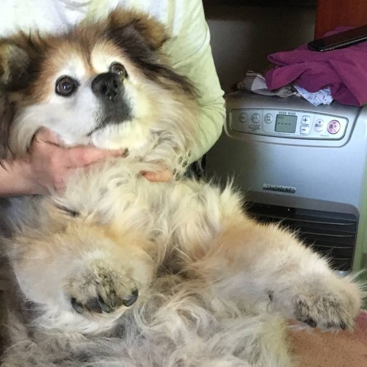 213a5d73 3ac3 41f2 be5f c78449cde79b 1608266388951