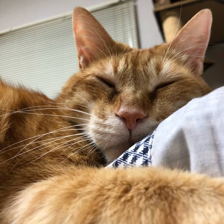 213b03ba d561 4a6e 8b56 bd615a7ab862 1600254670311