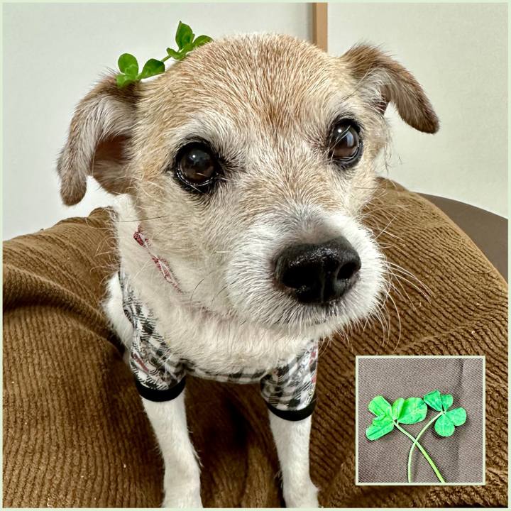 213b1a69 9ed3 42e0 b3aa 0bc1c7f71073 1716334202439