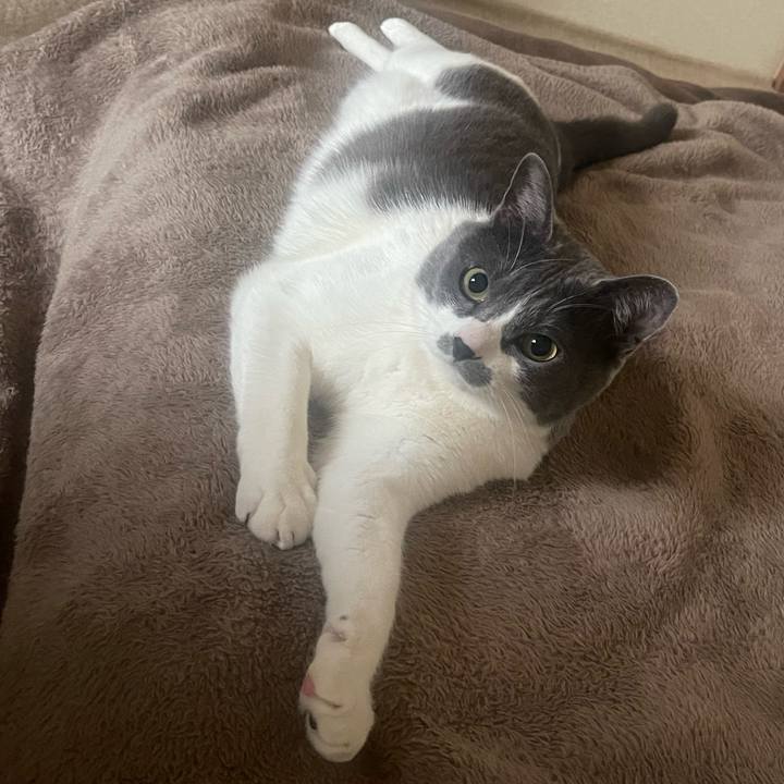 213b418b 2ae5 4b73 b027 140c4d74d8b0 1678697034501