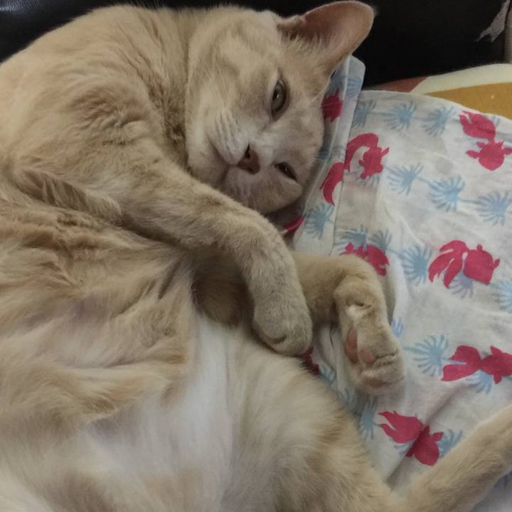 213b5319 ca6a 438c 84fd d3ef7cda386a 1597359620127