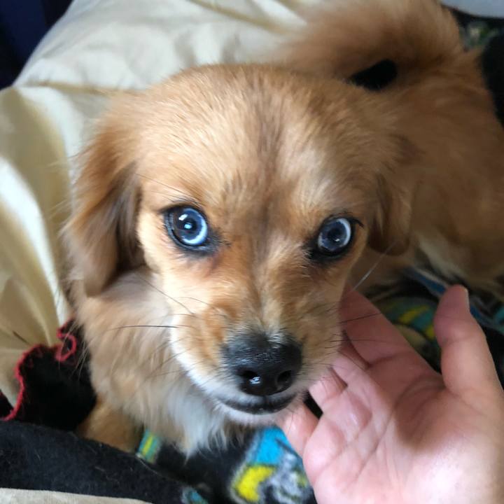 213b564f e918 4ea3 861a a1a9e280e19d 1516952010295