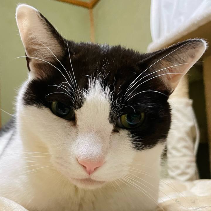 213bc003 03a9 4a01 84c0 8ce59ab44d71 1649727659450