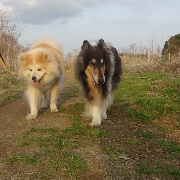 213c087a 15f1 47dd a72b c69839db5a8b 1616160322400