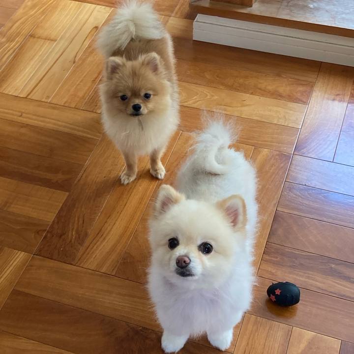 213c0b80 5ddf 40cf aa10 af4da8dc4f1e 1661167457039