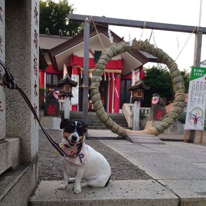 213c0df8 582d 4b46 b842 c947d6201308 1656590125007