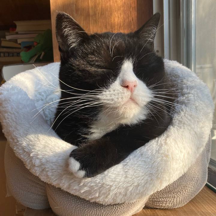 213c2300 f30f 4f5f 9022 f23d20bb5bc0 1637368454190