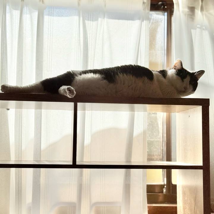 213c2a2d bf51 4100 aee0 dc3c95b5532b 1771378817538