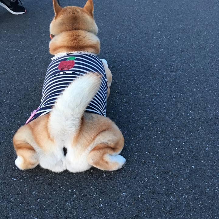 213c376d 127f 4046 a1c0 1350decdce97 1554805161936