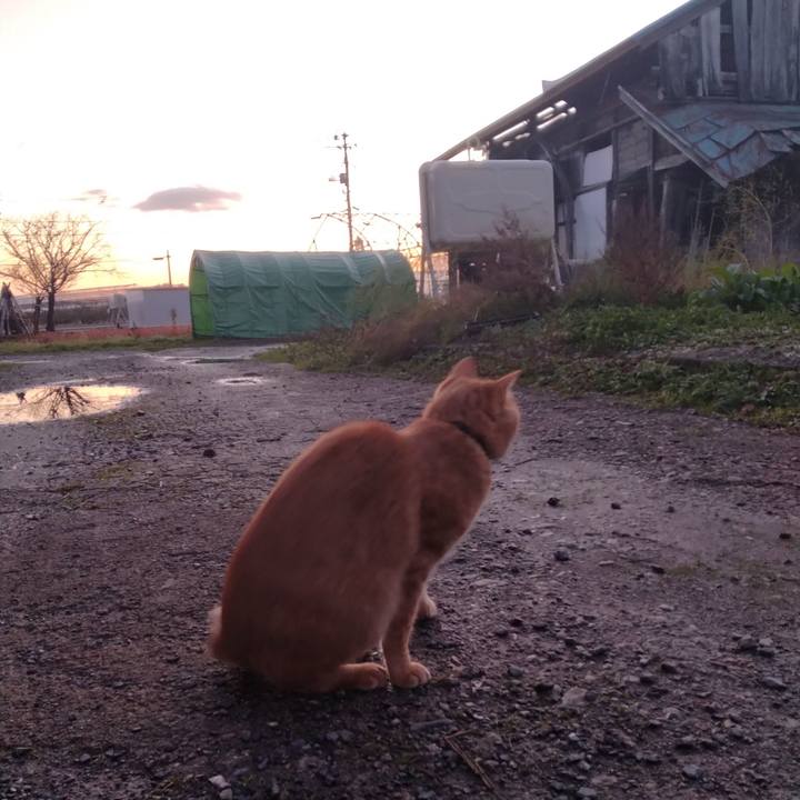 213c5e78 ab5c 41a2 8309 7536429aacab 1668808720095