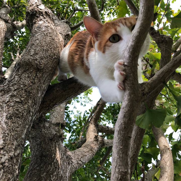 213c79f0 93de 4782 9767 2fbe213feb95 1539585703241