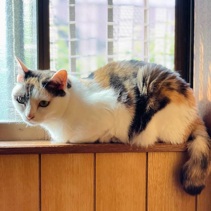 213c7fa1 5915 4709 9692 efc1f6117556 1624414562355