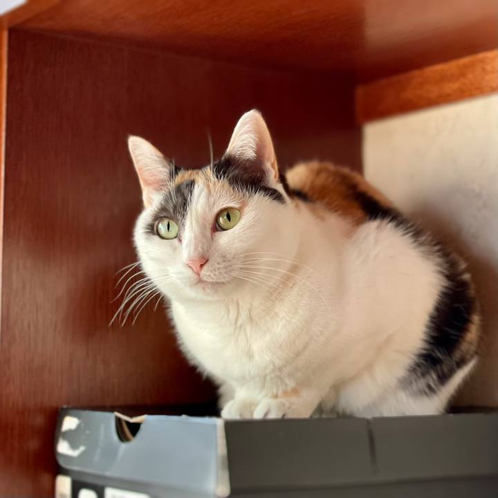 213c86bf b198 4e92 92f8 200fe9b9267f 1618369682670