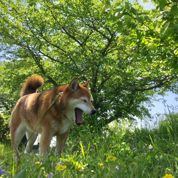 213c9c48 8584 4b06 821d 0a3311f949d2 1634023790813