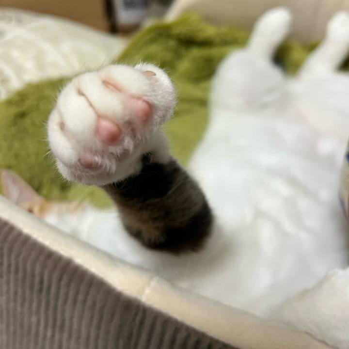 213cc004 8f2f 4a60 9498 1005257681a1 1773747646876