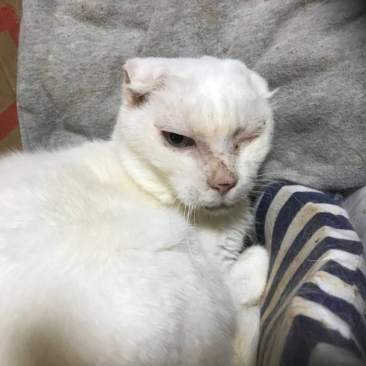 213d0256 44c2 4404 b20b c1e77b43a699 1547212665455