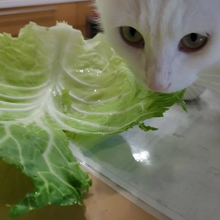 213d4272 4000 4cee ab5a 2a12a315567c 1767006394450