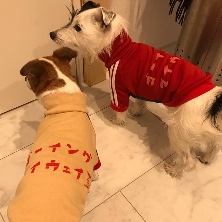 213d4bfa c0b8 4748 ad3c 7c8341213a54 1540109778031