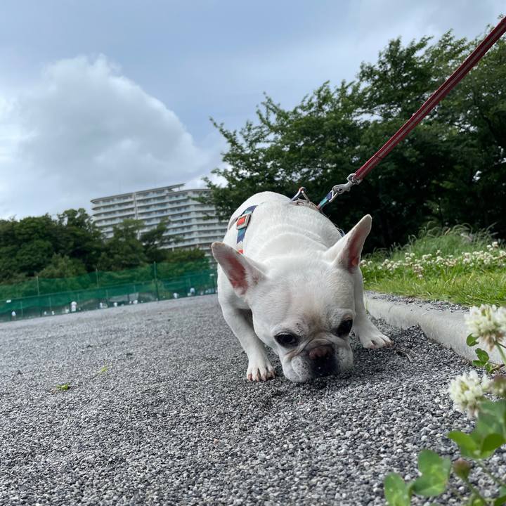 213d9c26 31b5 4cb5 a6ce 5b8999855585 1748147593714