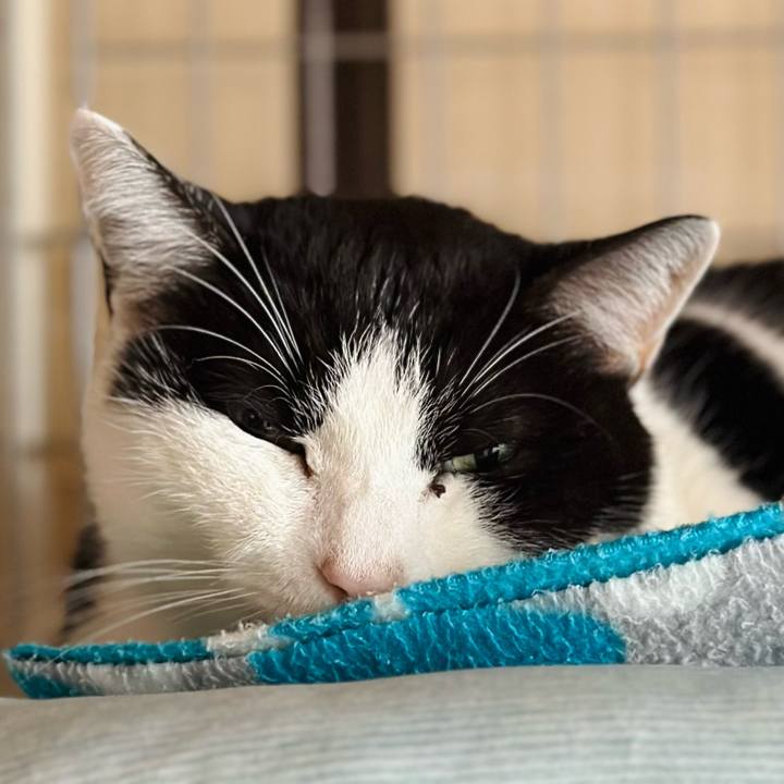 213ded10 1556 4089 bc61 730660f21dd8 1709344563510