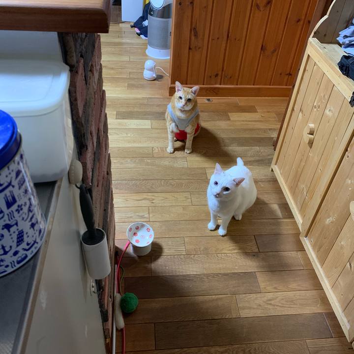 213defcd fd56 4de6 b7ff d51e4fdec023 1598743410047