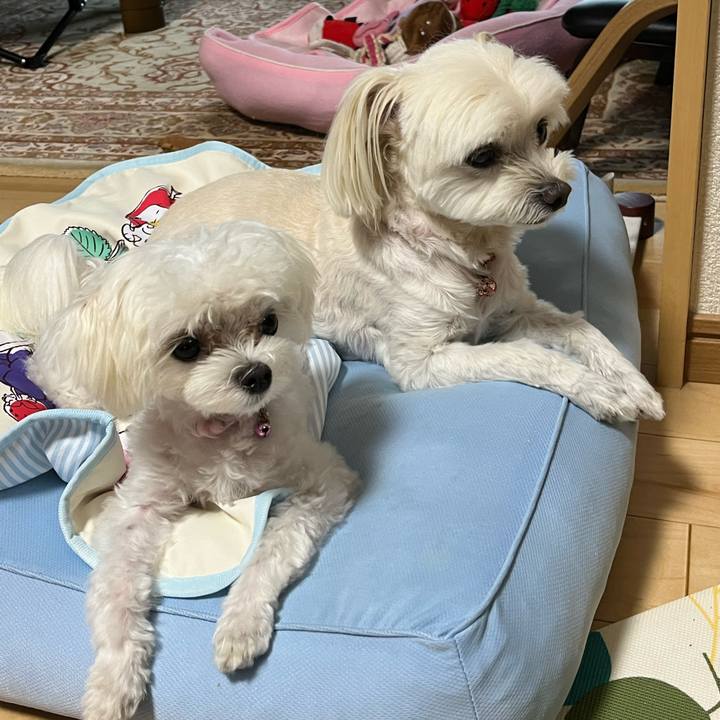 213df571 8cf1 42c6 8b8c 975766dffddc 1724069897528