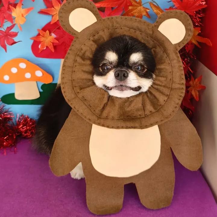 213e1483 8655 45b6 8ad0 0b9af83e3cc0 1761199651279