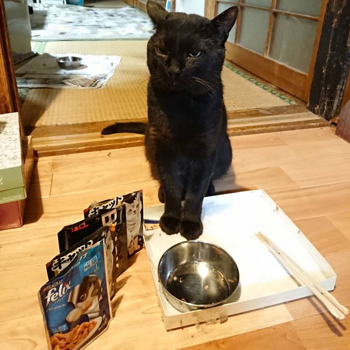 213e1541 cb3b 4868 b0b2 cf56ab180c6c 1627390351266