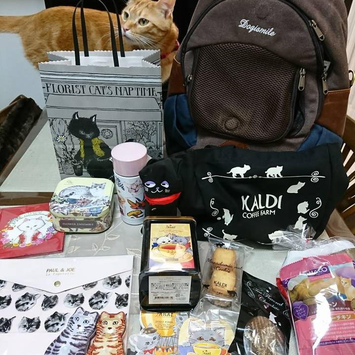 213e2730 7339 4eba a57a 6a86611672d6 1519296463975