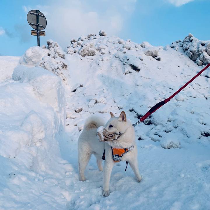 213e35b7 851b 4a33 9427 621f11dbaa55 1676673246134